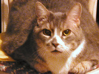 Click his picture to read Keeper’s story