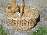 Click to read Leo's story.