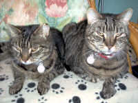 Click this picture to read Melita’s story