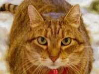 Click to read about Oscar’s interesting dietary habits!