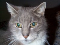 Click Paris’ picture to read about half the inspiration for this site