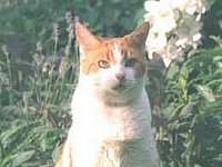 Click Rocky’s photo to read extracts from his diary!